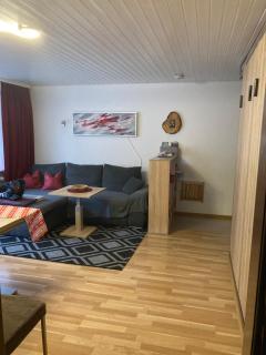Gemütliche Ferienwohnung in Sankt Blasien - St. Blasien - 7