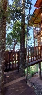 Cabaña en el Bosque de San José del Pacífico - El Pacífico - 1