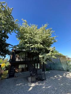 Espino Blanco Apartamentos - 3