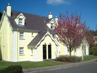 Aughrim Holiday Village No 14 by Trident Holiday Homes - Aughrim - 5