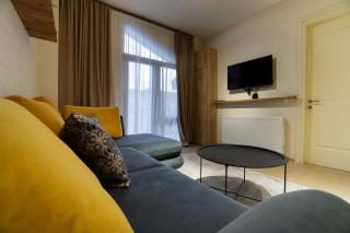 Zarku Apartments - Bakuriani - 6
