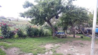 Agro House Mezge - აგროსახლი მეზგე - Bashkʼo - 5
