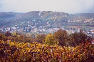 Barbár Borbár - Szekszárd - 7