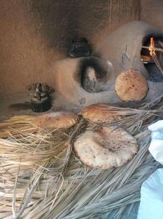 Organisation Des Excursions & Bivouac dans le désert - 1