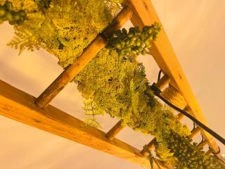 Au café de Jeanne - Entrelacs -  - 2