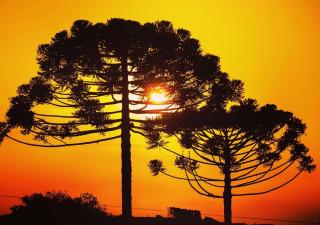 Atiaia Jungle River Retreat - 7