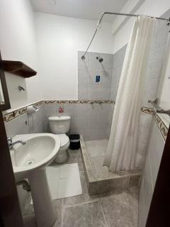 Flightless Cormorant - 1