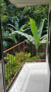 Casa Palmera Cocles, 300m to the beach - Puerto Viejo - 1