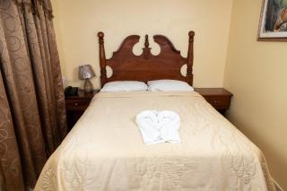 Hotel Internacional Palmerola - Comayagua - 4