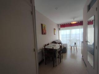 Agréable T1 proche établissement Thermal, animaux admis - FR-1-571-18 - Balaruc-les-Bains - 5
