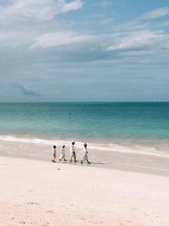 Zen-Zanzibar Beach Front Villa - Uroa - 0