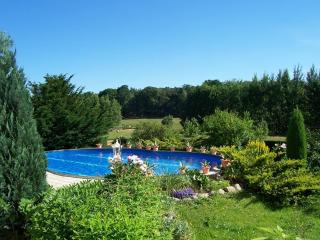 Ferienwohnungen Pension Dietze - 4