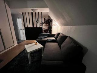 Charmant F1 à Strasbourg avec parking privé - 4