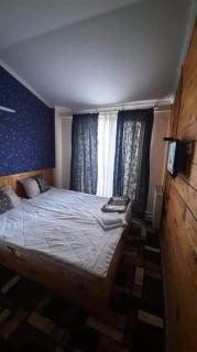 Bakuriani Resort Cottage 1 Storey - Bakuriani - 6