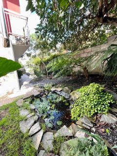 Villa Aguacate - Teror - 3