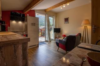 Le Nidouyé appartement 2 adultes UNIQUEMENT à Saint Lary Soulan - Saint-Lary-Soulan - 9