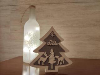 ALOJAMIENTO MIRABUENOS - 8