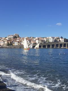 Banyuls vu d'en haut : appartement T3 spacieux - Banyuls-sur-Mer - 9