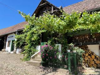 Entire House @Saschiz 130 - Saschiz - 0