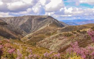 Cantinho do Ribeiro - 7