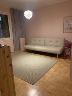 Arctic Villa Birch - 3