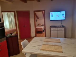 Apartman Delnice Park Srna - Delnice - 7