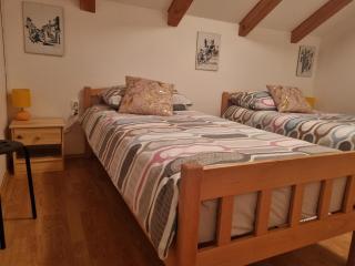 Apartman Delnice Park Srna - Delnice - 8