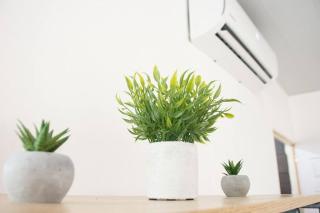 Habitacion Fuego - Villa Valle Campo - 5