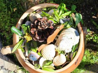 Superbe T2 avec jardin et parking, Cap d'Agde - FR-1-607-94 - 8