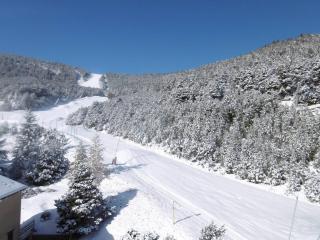 Appartement F2 cabine 6 pers. avec wifi et parking aux Angles - FR-1-295-138 - 4