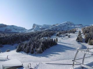 Studio 4 pers. proche pistes, parking, WiFi, animaux acceptés - FR-1-525-198 - 1