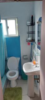 Creole Cottage Homestay - Mahe - 1