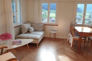 flueli holiday home urnaesch - Urnäsch - 5