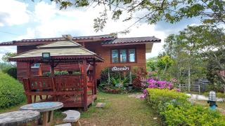 Khao Kho Flora - Khao Kho - 5