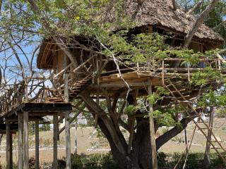 Antonio Beach Tree House Hotel & Spa - Uroa - 4