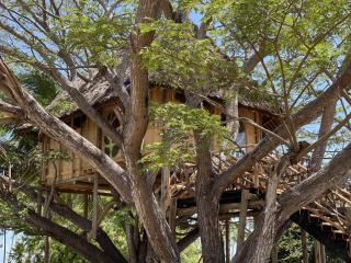 Antonio Beach Tree House Hotel & Spa - Uroa - 3