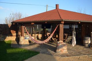 Holiday, party and relax vila - - 4