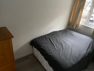 Corporate Large Modern 4 to 5 Bedroom House - 4