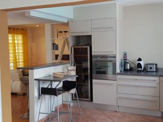 La villa Cocotiers - La Saline-Les-Bains - 2