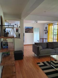 La villa Cocotiers - La Saline-Les-Bains - 1