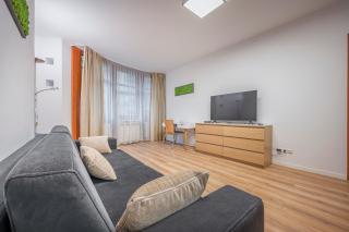Modern Apartment With Garage - 2