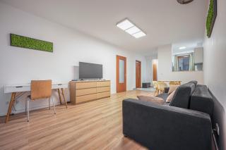 Modern Apartment With Garage - 1