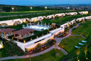 Casa Timiș - Wellness & Spa Resort - Chiţorani - 0