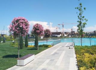 Covent Garden - Tashkent - 1