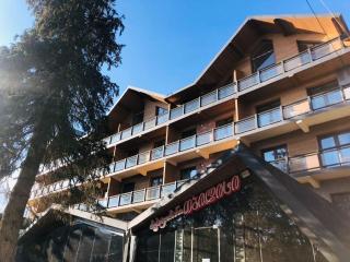 Apartment in hotel Tbilisi, Bakuriani - Bakuriani - 6
