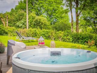 Holiday Home in Ferrieres with Garden - Ferrières - 9
