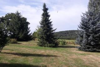 Grande Maison de charme - Sainte-Magnance - 8