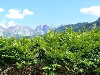 Grand-Bornand : Appt 2 pièces, 4 pers, jardin, garage, à 900m des pistes - FR-1-241-91 - Le Grand-Bornand - 3