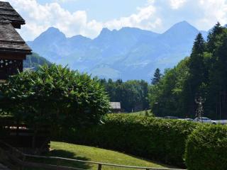 Studio cabine 5 pers, proche patinoire et pistes, Le Grand-Bornand - FR-1-241-45 - Le Grand-Bornand - 2