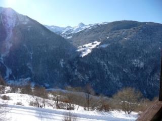 Appartement 2 pièces pour 6 pers. proche commerces et pistes - FR-1-411-79 - Peisey-Nancroix - 8